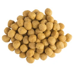 Purina PRO PLAN Veterinary Diets OM Obesity Management Hund 5 Purina PRO PLAN Veterinary Diets OM Obesity Management Hund -DECHRA Verkäufe 146 flagship relaunch ppvd und ecn 3kgkibblesom