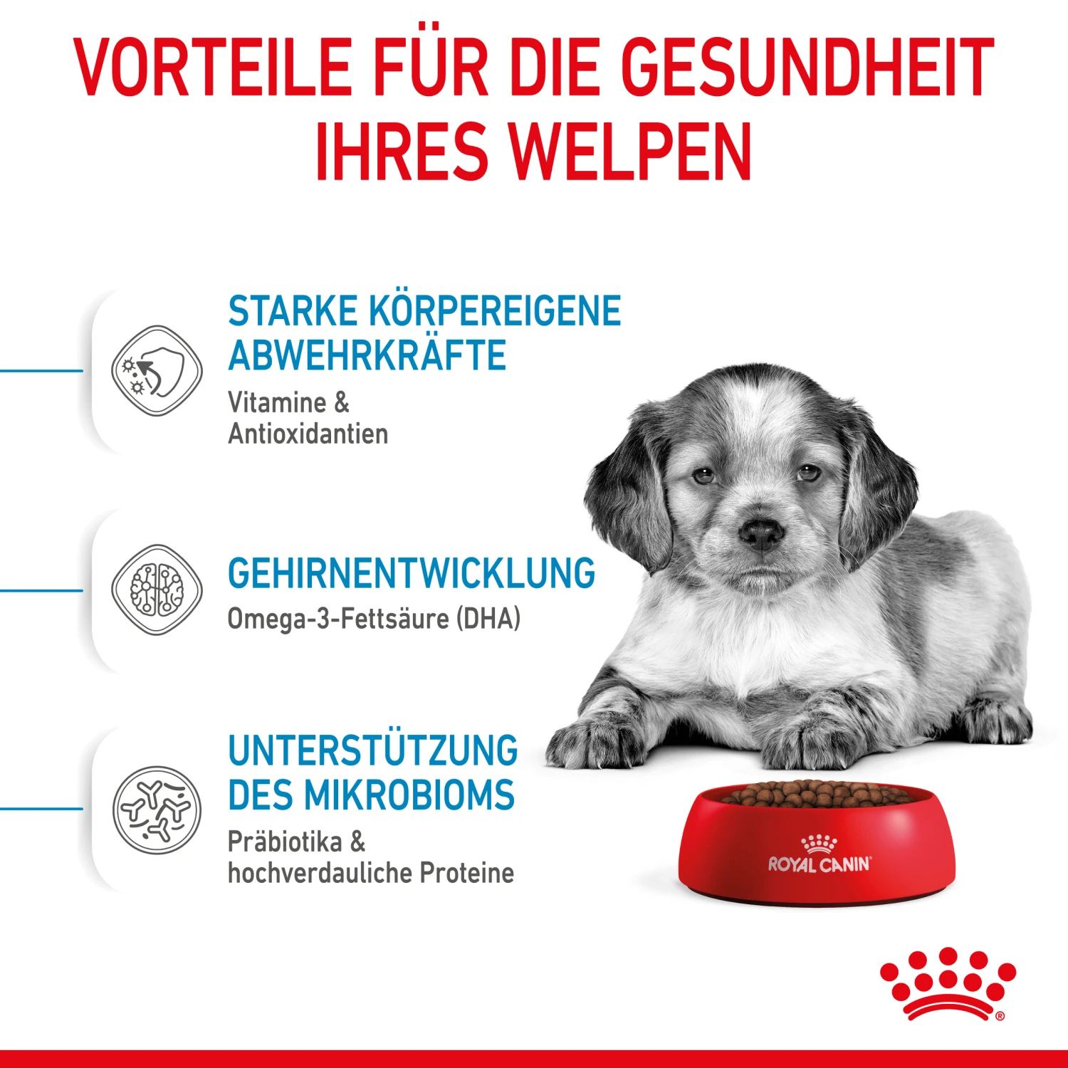 Royal Canin Medium Puppy Trockenfutter Hund 3 Royal Canin Medium Puppy Trockenfutter Hund – Bild 3