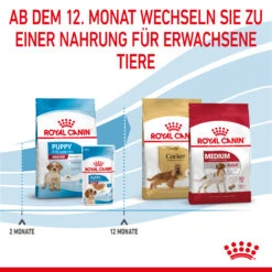 Royal Canin Medium Puppy Trockenfutter Hund 11 Royal Canin Medium Puppy Trockenfutter Hund -DECHRA Verkäufe 3182550402132 2905 6