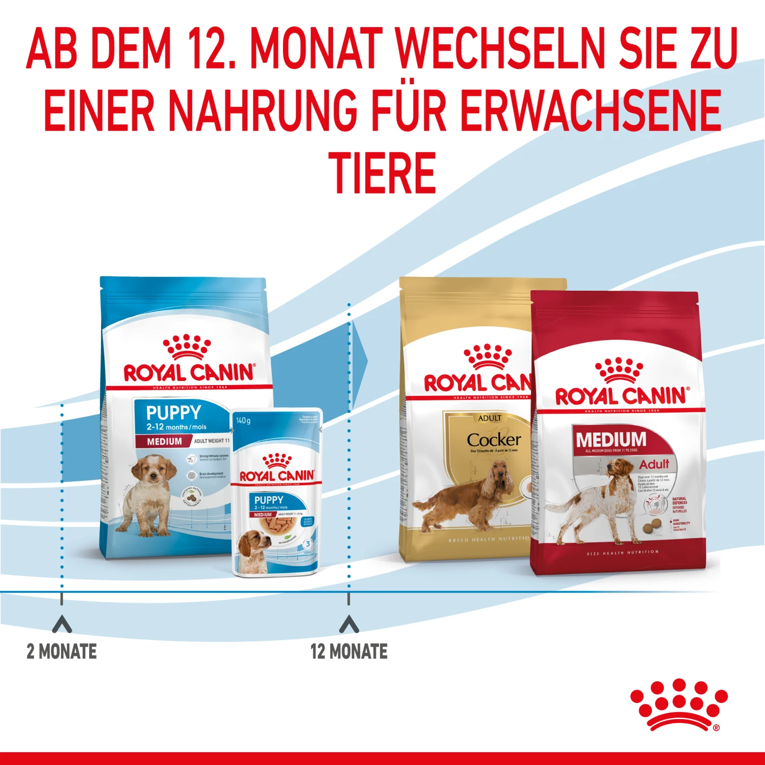Royal Canin Medium Puppy Trockenfutter Hund 5 Royal Canin Medium Puppy Trockenfutter Hund – Bild 5