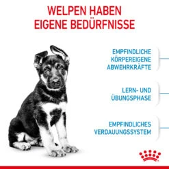 Royal Canin Maxi Puppy Trockenfutter Hund 9 Royal Canin Maxi Puppy Trockenfutter Hund -DECHRA Verkäufe 3182550402163 3005 3