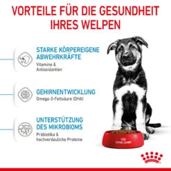 Royal Canin Maxi Puppy Trockenfutter Hund 10 Royal Canin Maxi Puppy Trockenfutter Hund -DECHRA Verkäufe 3182550402163 3005 4