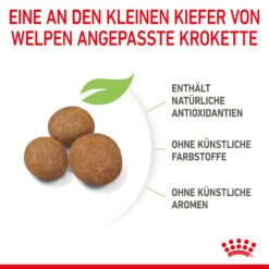 Royal Canin Maxi Puppy Trockenfutter Hund 11 Royal Canin Maxi Puppy Trockenfutter Hund -DECHRA Verkäufe 3182550402163 3005 5