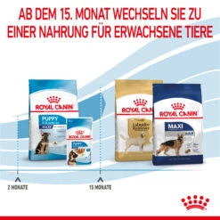 Royal Canin Maxi Puppy Trockenfutter Hund 12 Royal Canin Maxi Puppy Trockenfutter Hund -DECHRA Verkäufe 3182550402163 3005 6