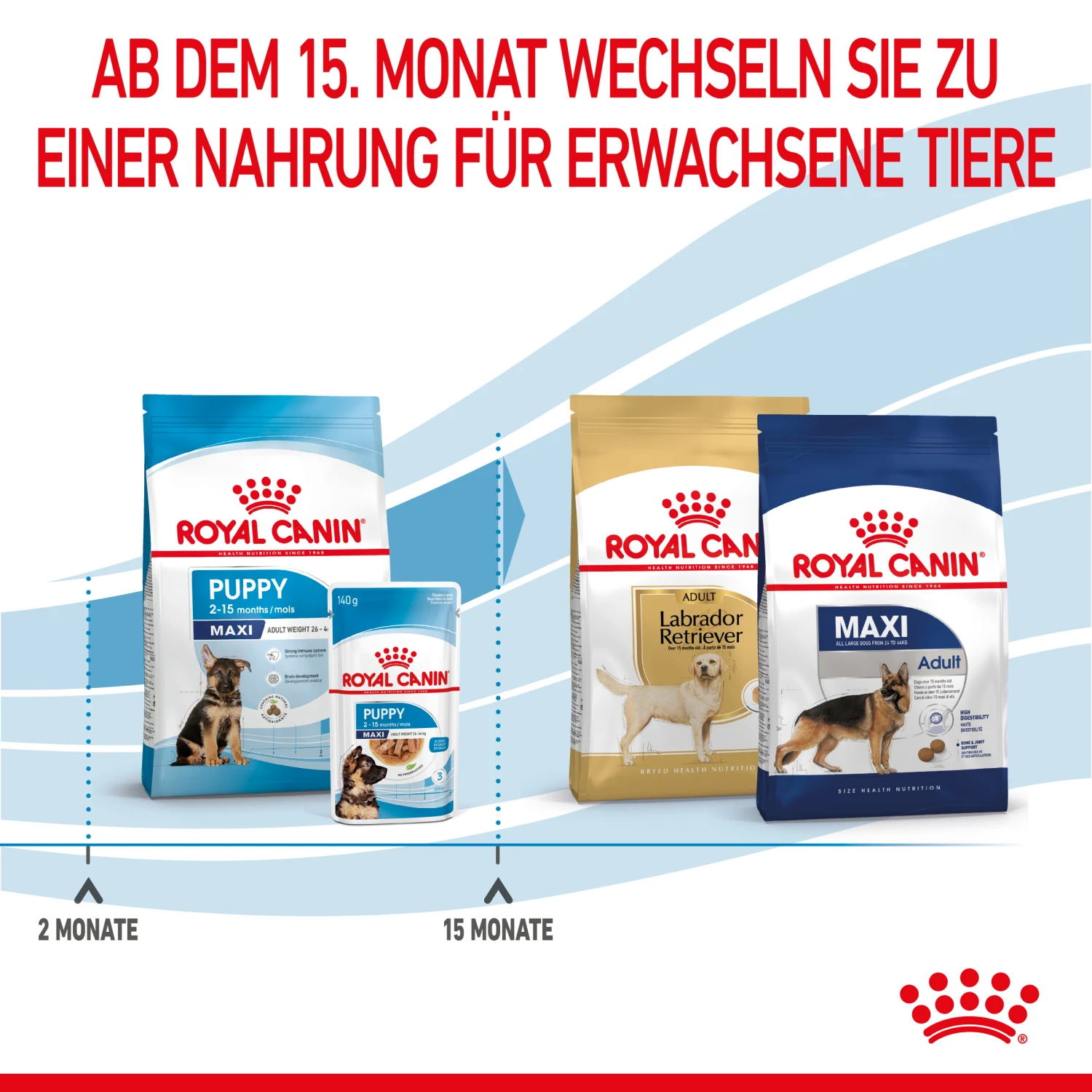 Royal Canin Maxi Puppy Trockenfutter Hund 6 Royal Canin Maxi Puppy Trockenfutter Hund – Bild 6