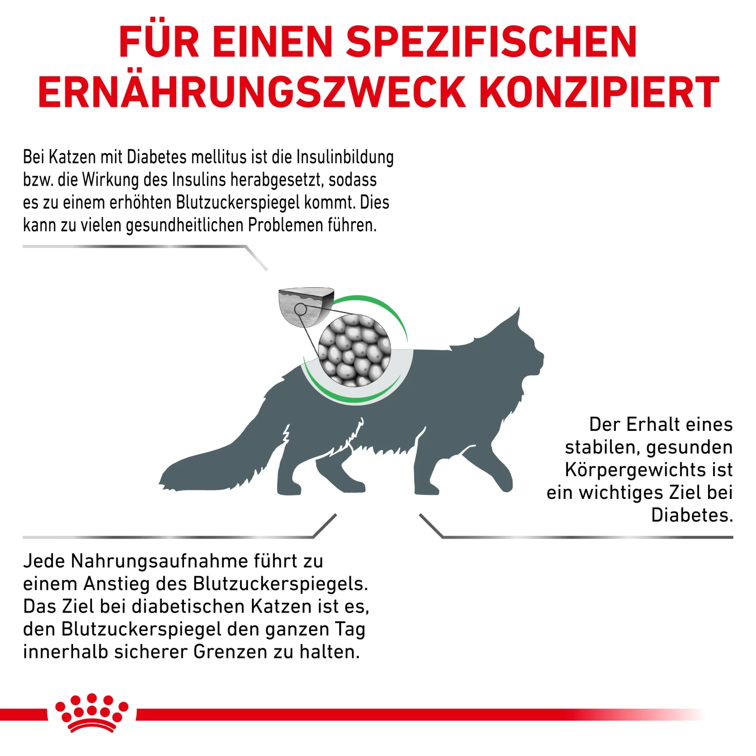 Royal Canin Diabetic Trockenfutter Katze 2 Royal Canin Diabetic Trockenfutter Katze – Bild 2
