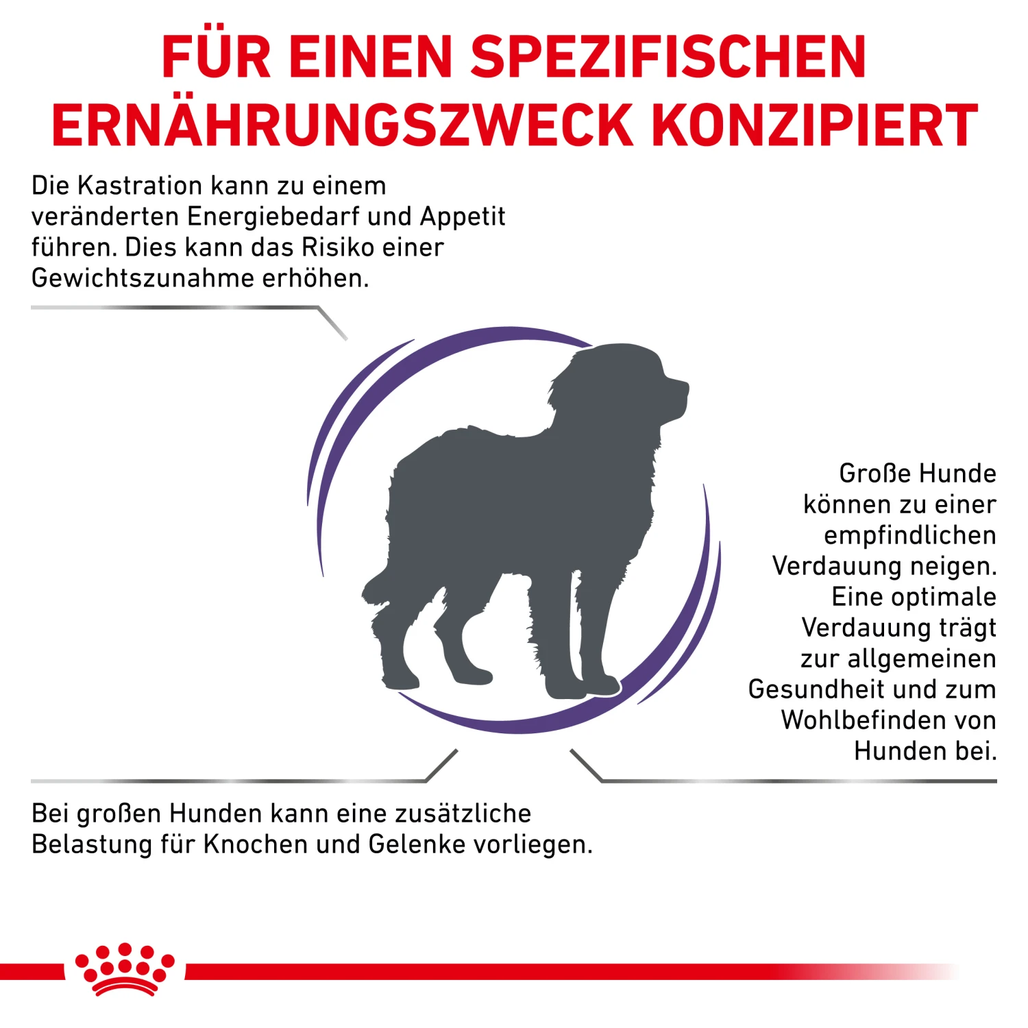Royal Canin Neutered Adult Large Dogs Trockenfutter Hund 2 Royal Canin Neutered Adult Large Dogs Trockenfutter Hund – Bild 2