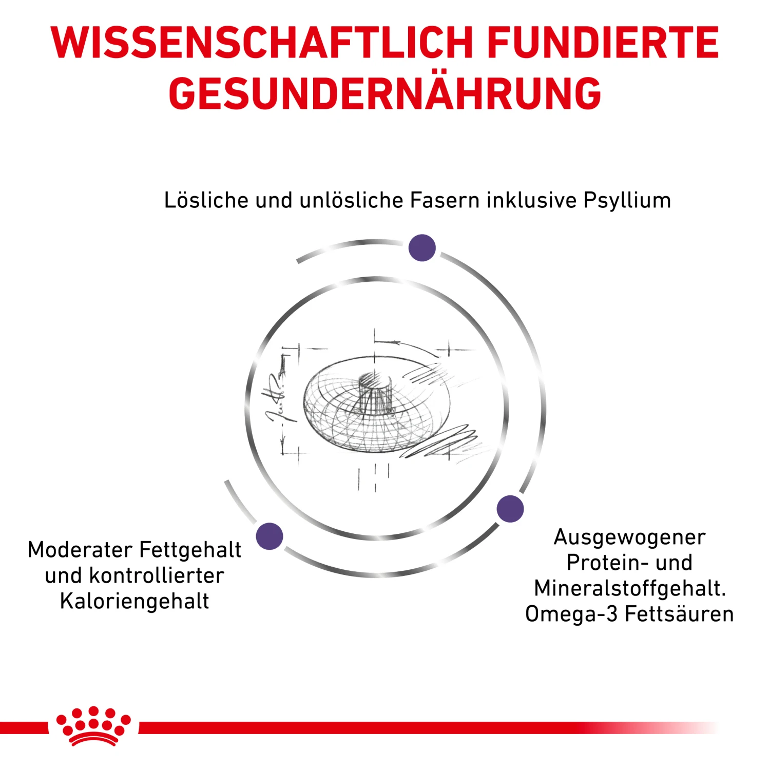 Royal Canin Neutered Adult Large Dogs Trockenfutter Hund 3 Royal Canin Neutered Adult Large Dogs Trockenfutter Hund – Bild 3