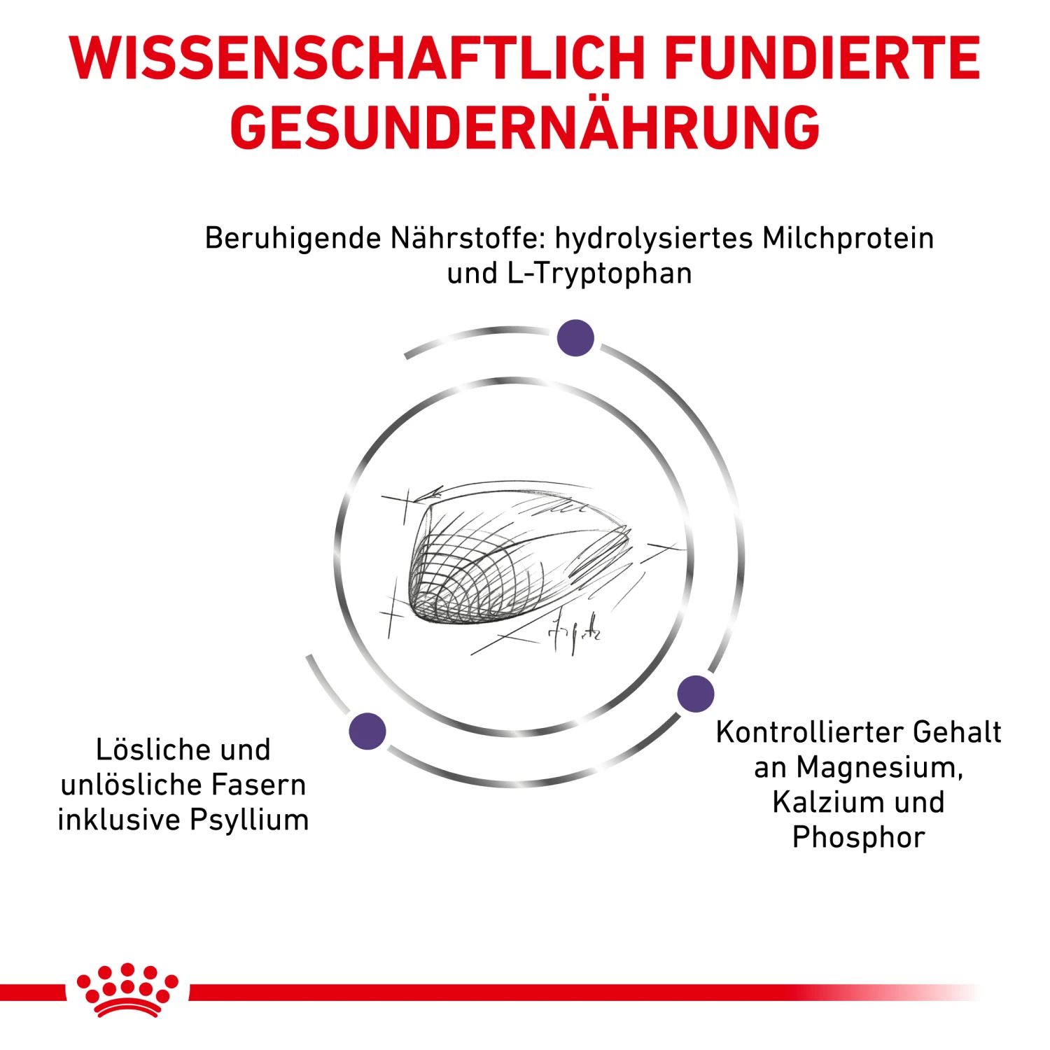 Royal Canin Calm Trockenfutter Katze 3 Royal Canin Calm Trockenfutter Katze – Bild 3