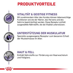Royal Canin Mature Consult Medium Dogs Trockenfutter Hund 10 Royal Canin Mature Consult Medium Dogs Trockenfutter Hund -DECHRA Verkäufe 3182550782043 6739 5