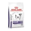 Royal Canin Dental Small Dogs Trockenfutter Hund