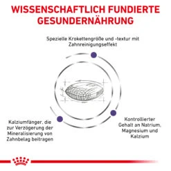 Royal Canin Dental Small Dogs Trockenfutter Hund -DECHRA Verkäufe 3182550783910 333 4