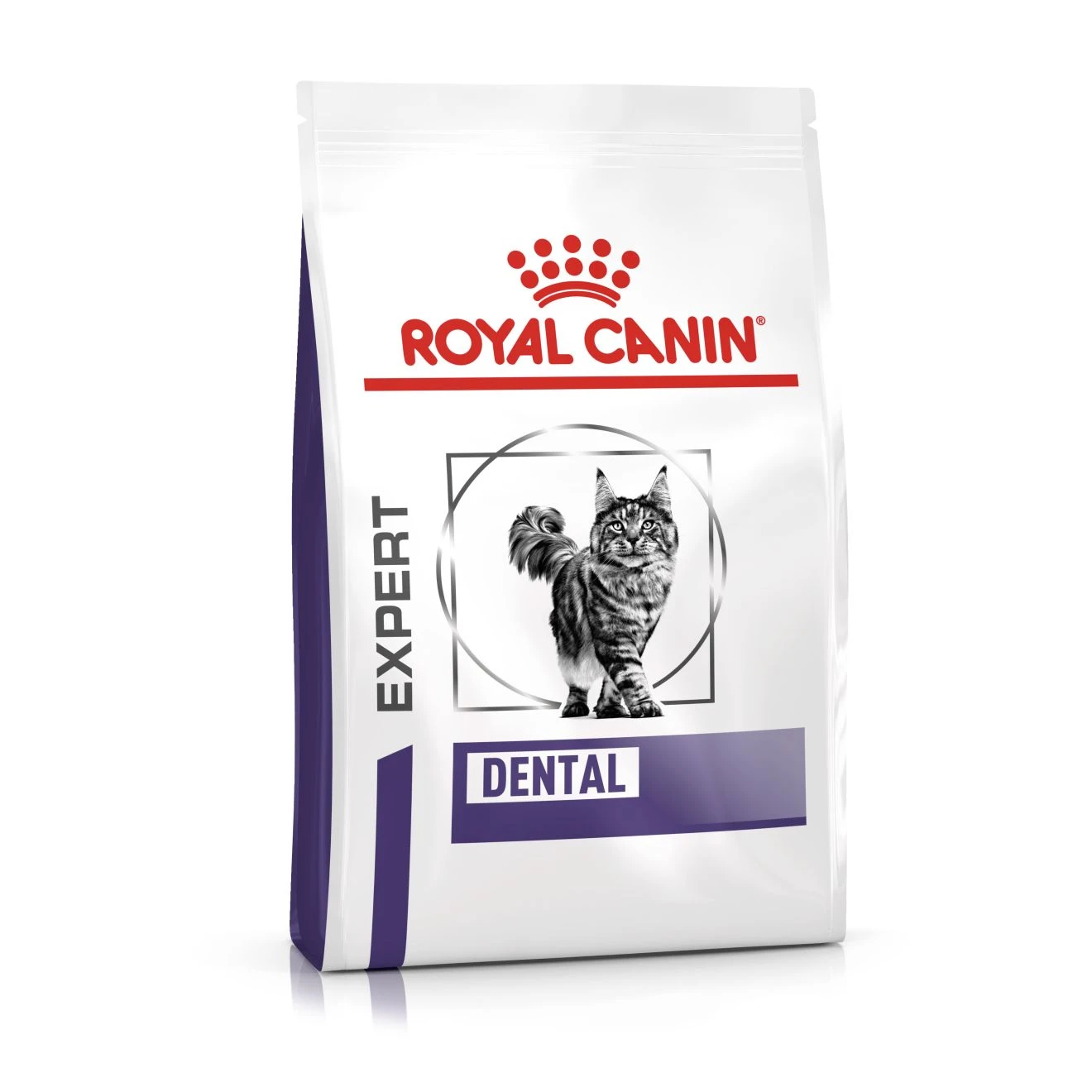 Royal Canin Dental Trockenfutter Katze 1 Royal Canin Dental Trockenfutter Katze