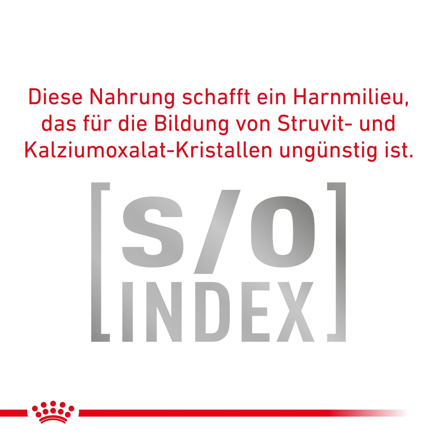 Royal Canin Dental Trockenfutter Katze 5 Royal Canin Dental Trockenfutter Katze – Bild 5