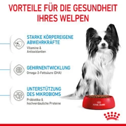 Royal Canin X-Small Puppy Trockenfutter Für Welpen Sehr Kleiner Hunderassen -DECHRA Verkäufe 3182550793636 10003 4