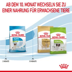 Royal Canin X-Small Puppy Trockenfutter Für Welpen Sehr Kleiner Hunderassen -DECHRA Verkäufe 3182550793636 10003 6