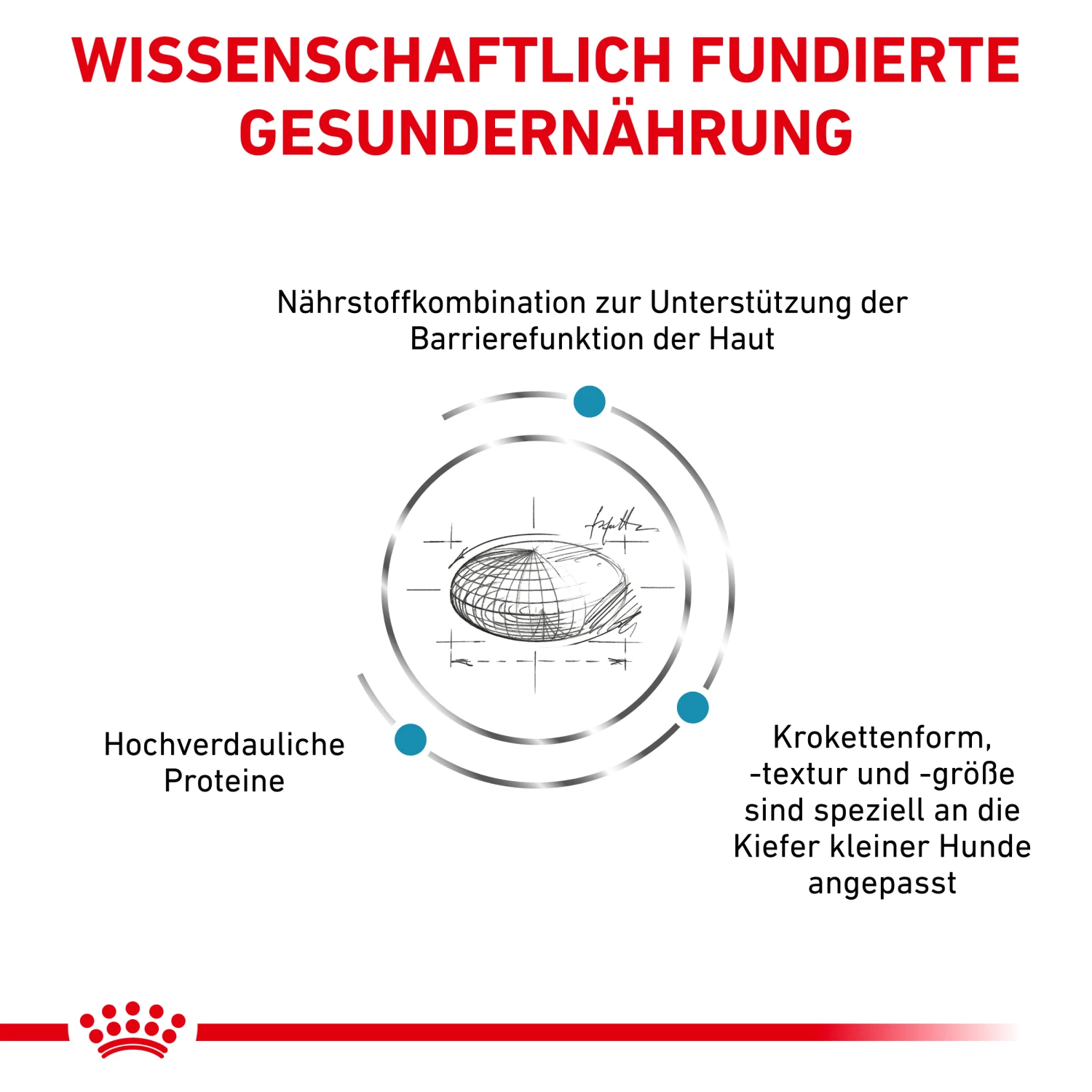 Royal Canin Skin Care Small Dogs Trockenfutter Hund 2 Royal Canin Skin Care Small Dogs Trockenfutter Hund – Bild 2