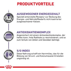 Royal Canin Adult Trockenfutter Katze -DECHRA Verkäufe 3182550799690 6238 5