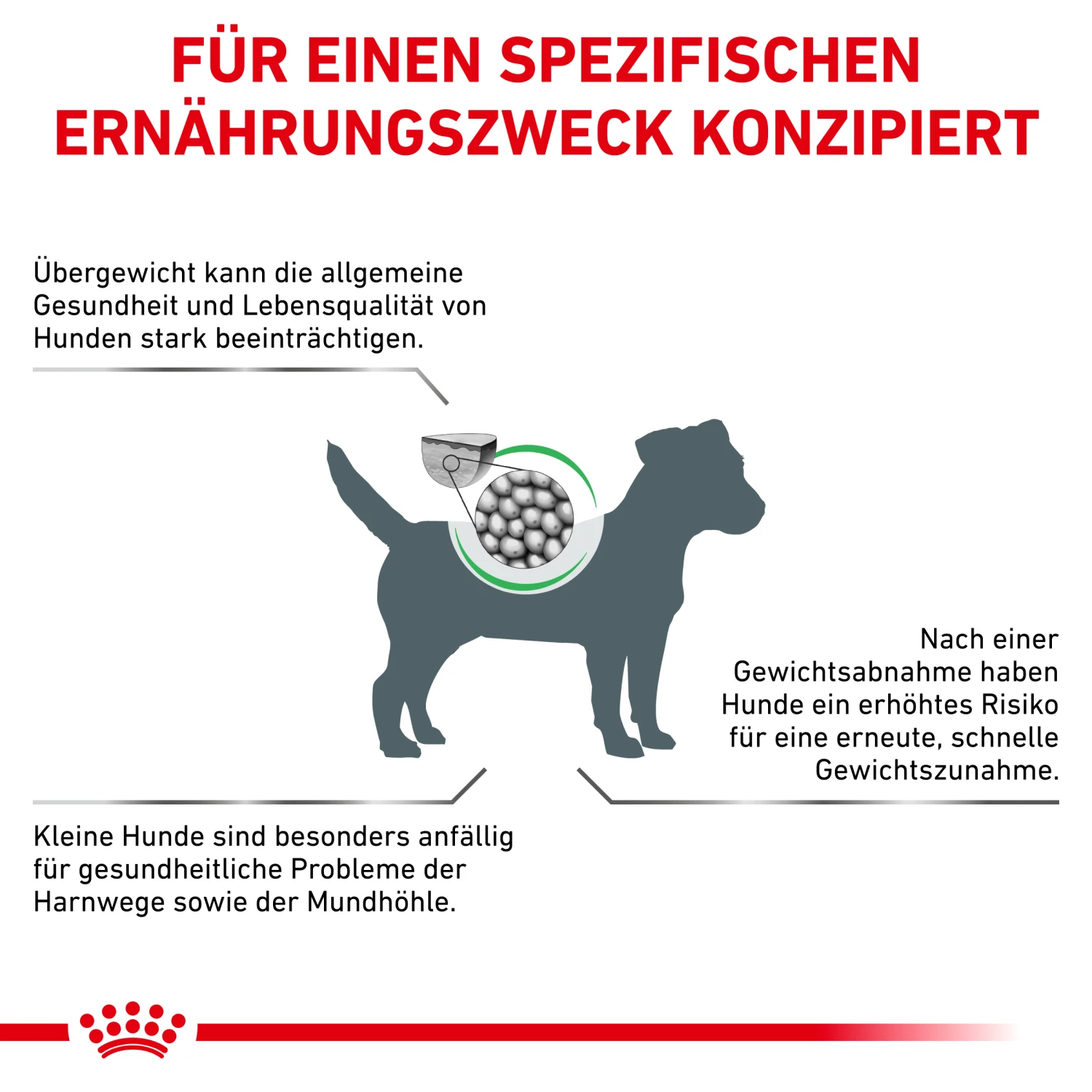 Royal Canin Satiety Small Dogs Trockenfutter Hund 2 Royal Canin Satiety Small Dogs Trockenfutter Hund – Bild 2