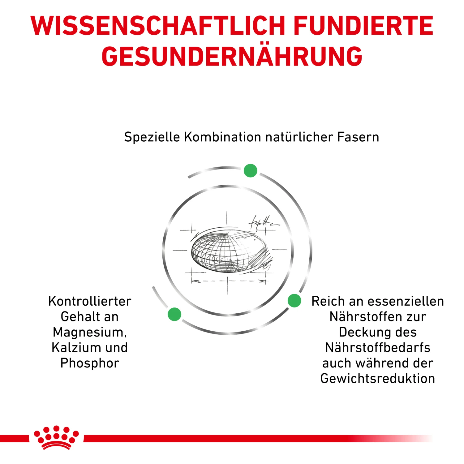 Royal Canin Satiety Small Dogs Trockenfutter Hund 3 Royal Canin Satiety Small Dogs Trockenfutter Hund – Bild 3