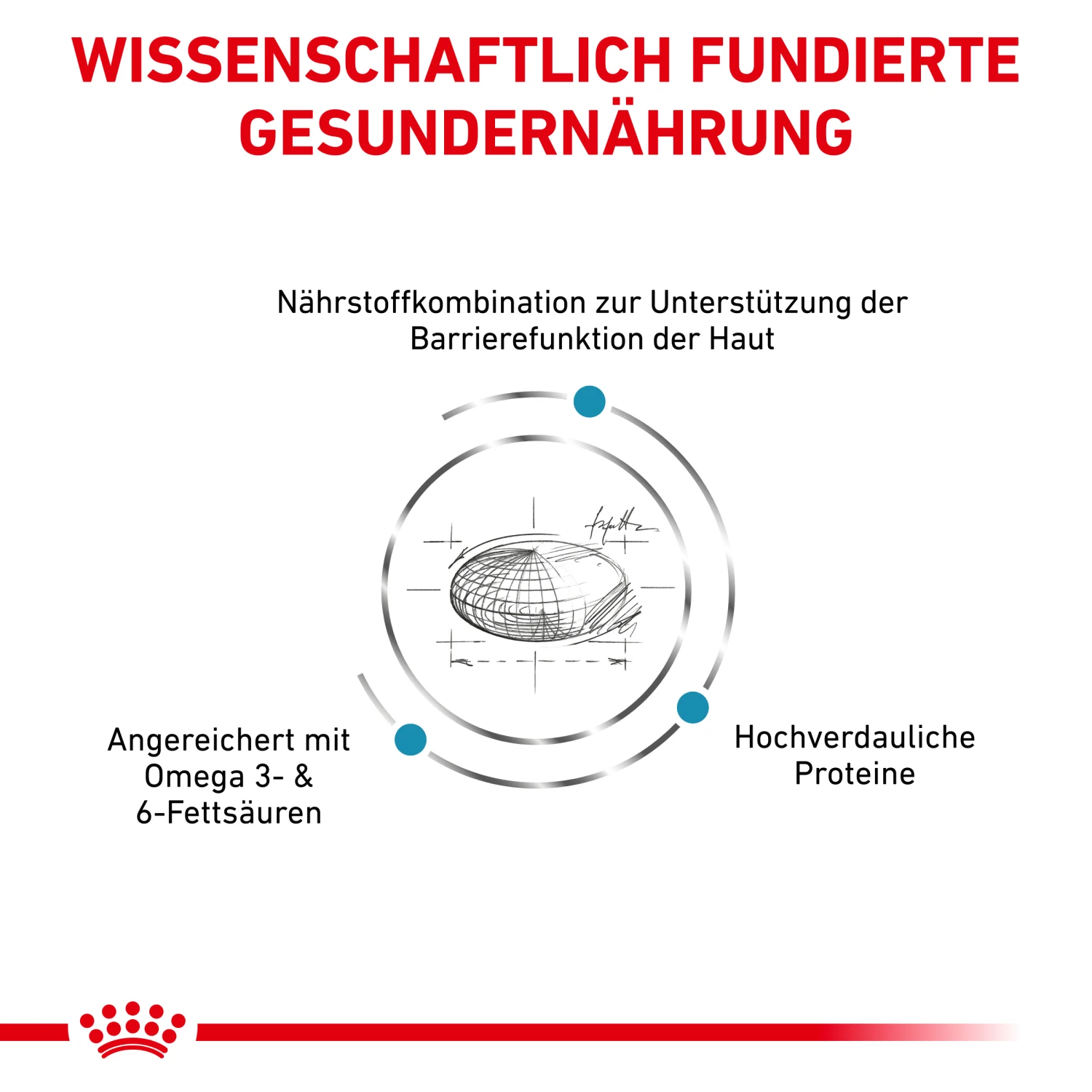 Royal Canin Skin Care Trockenfutter Hund 2 Royal Canin Skin Care Trockenfutter Hund – Bild 2