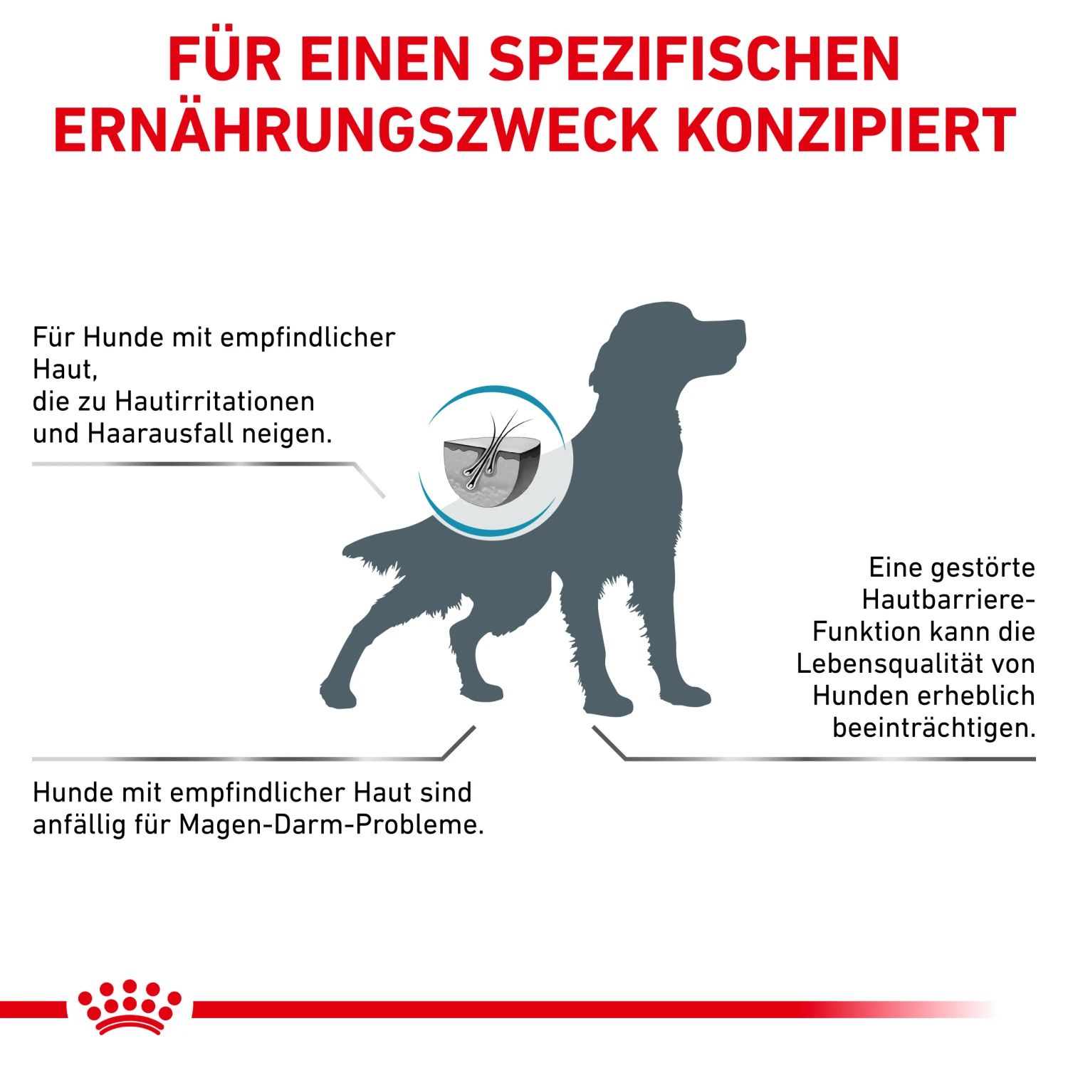 Royal Canin Skin Care Trockenfutter Hund 7 Royal Canin Skin Care Trockenfutter Hund – Bild 7