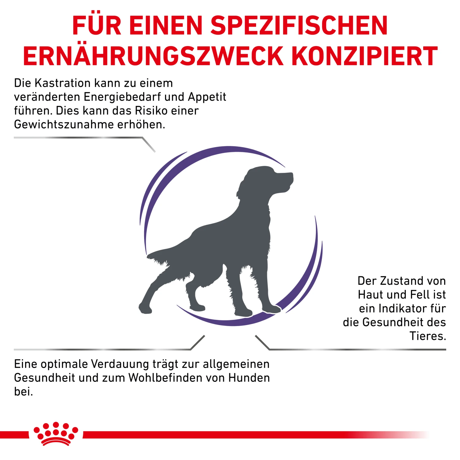 Royal Canin Neutered Adult Medium Dogs Trockenfutter Hund 2 Royal Canin Neutered Adult Medium Dogs Trockenfutter Hund – Bild 2