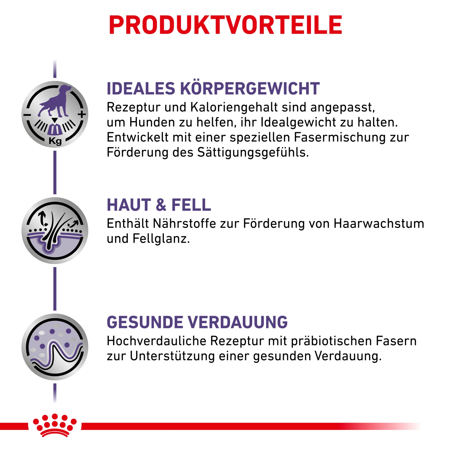 Royal Canin Neutered Adult Medium Dogs Trockenfutter Hund 4 Royal Canin Neutered Adult Medium Dogs Trockenfutter Hund – Bild 4