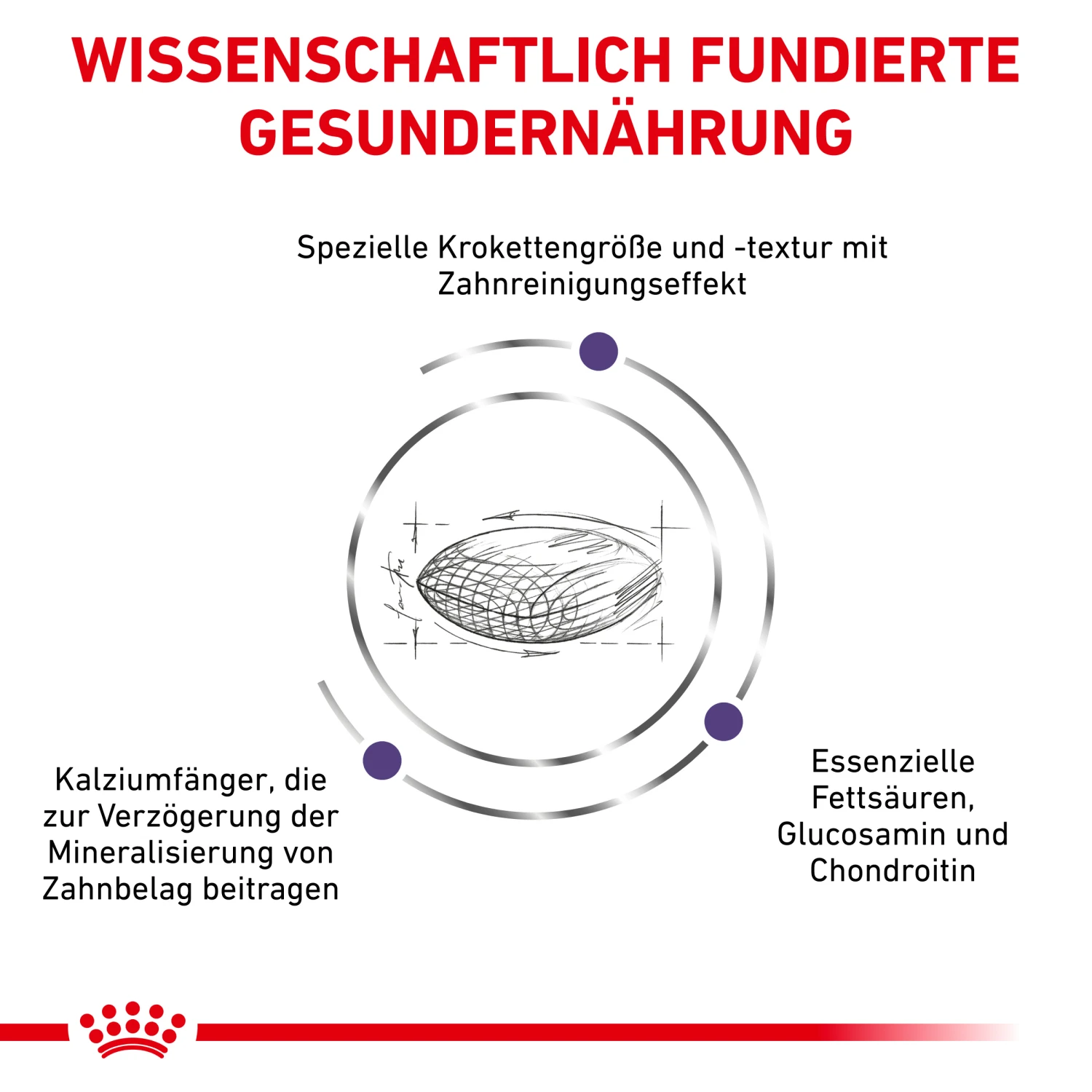 Royal Canin Dental Medium & Large Dogs Trockenfutter Hund 3 Royal Canin Dental Medium & Large Dogs Trockenfutter Hund – Bild 3