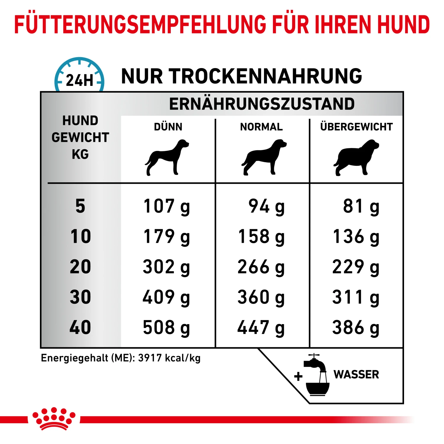 Royal Canin Skin Care Small Dogs Trockenfutter Hund 4 Royal Canin Skin Care Small Dogs Trockenfutter Hund – Bild 4