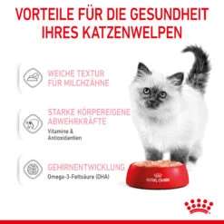 Royal Canin Kitten Nassfutter In Mousse 12 X 85 G 9 Royal Canin Kitten Nassfutter In Mousse 12 X 85 G -DECHRA Verkäufe 9003579003831 4505 4