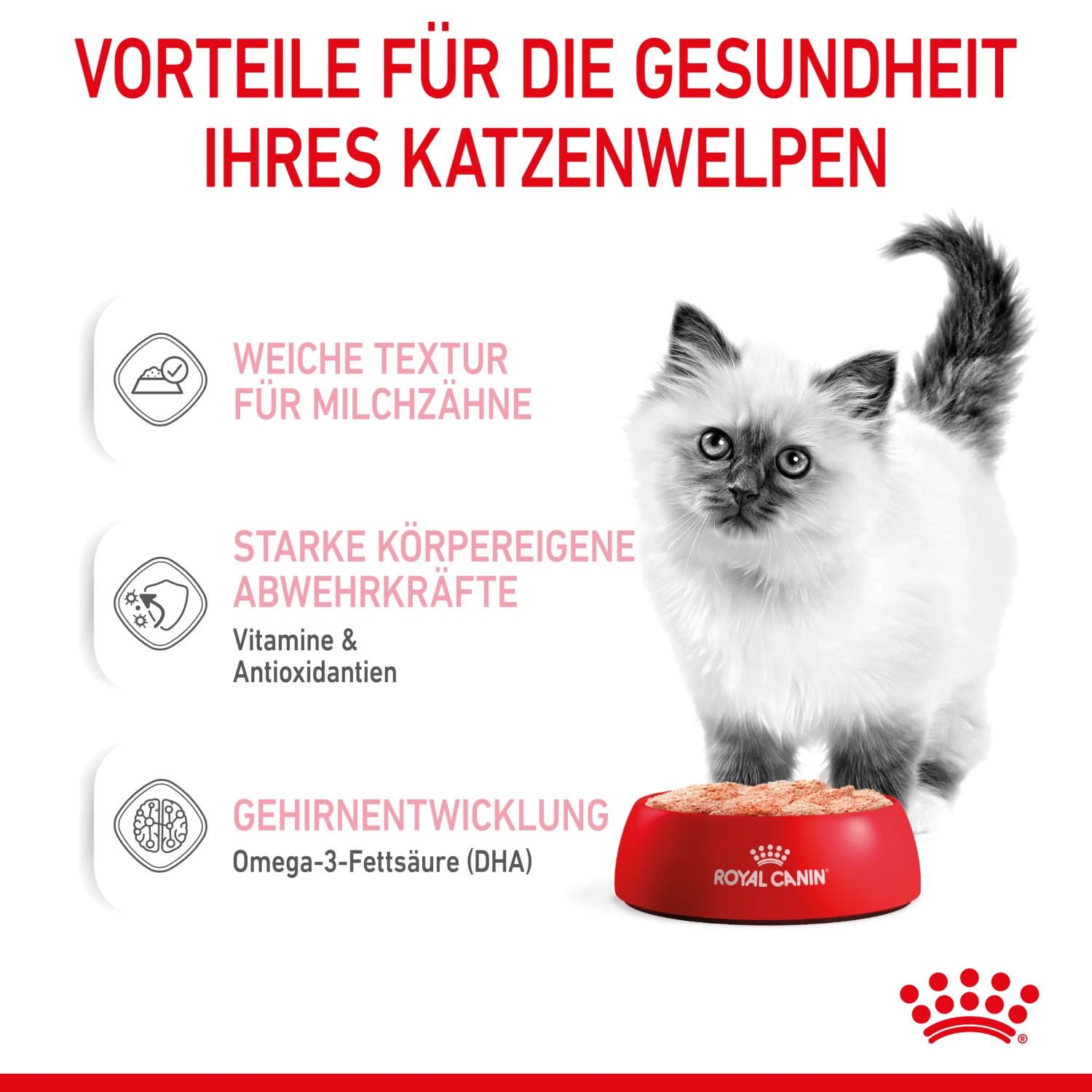 Royal Canin Kitten Nassfutter In Mousse 12 X 85 G 3 Royal Canin Kitten Nassfutter In Mousse 12 X 85 G – Bild 3