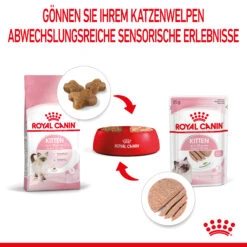 Royal Canin Kitten Nassfutter In Mousse 12 X 85 G 10 Royal Canin Kitten Nassfutter In Mousse 12 X 85 G -DECHRA Verkäufe 9003579003831 4505 5