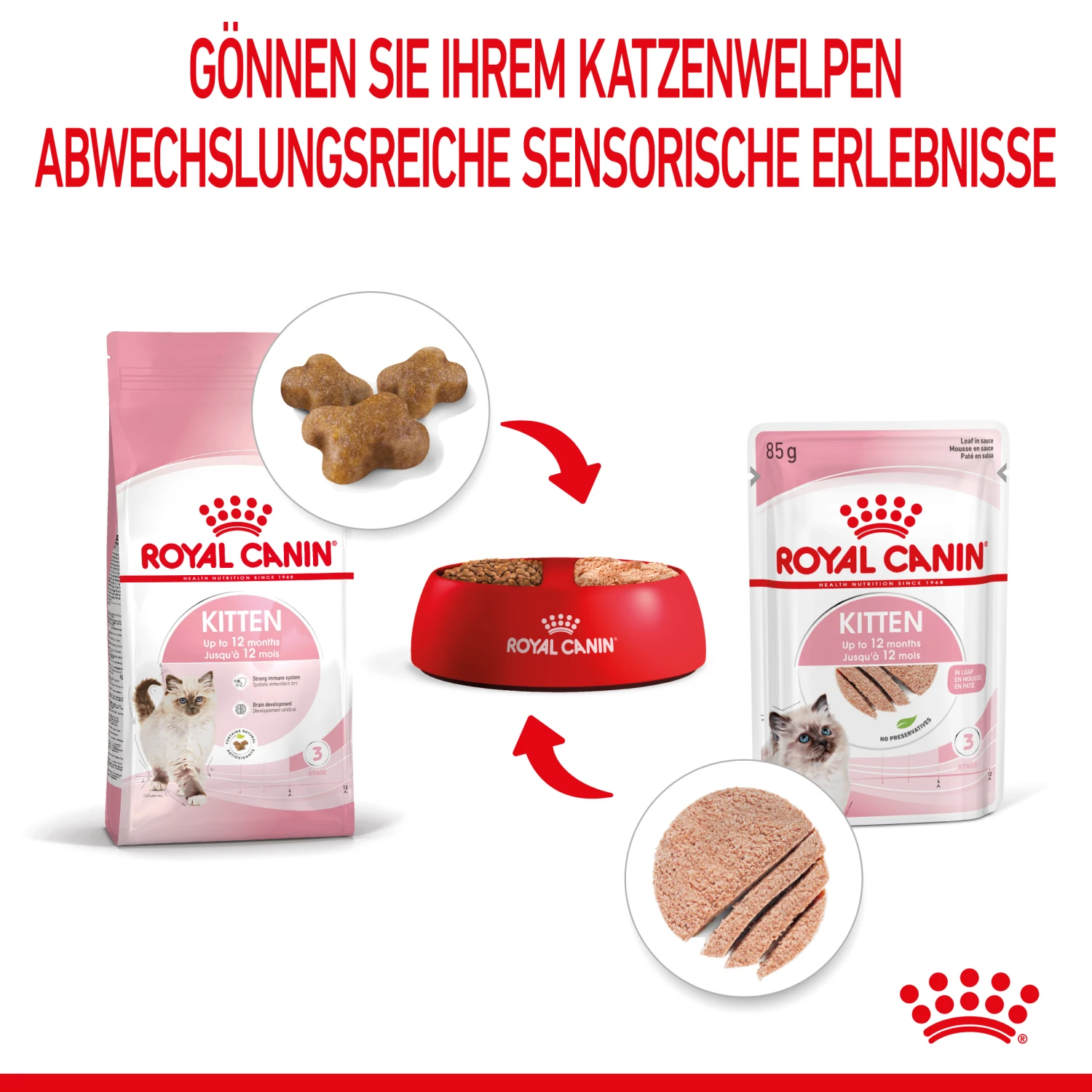 Royal Canin Kitten Nassfutter In Mousse 12 X 85 G 4 Royal Canin Kitten Nassfutter In Mousse 12 X 85 G – Bild 4