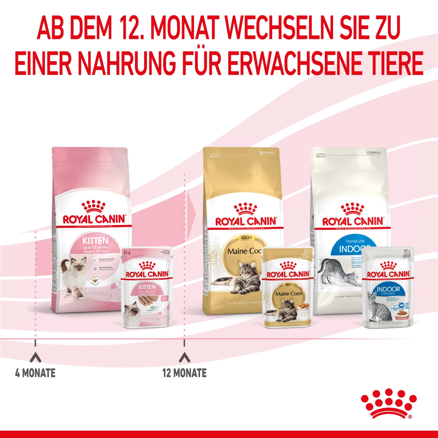 Royal Canin Kitten Nassfutter In Mousse 12 X 85 G 7 Royal Canin Kitten Nassfutter In Mousse 12 X 85 G – Bild 7