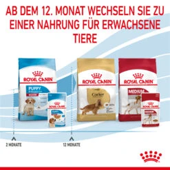Royal Canin Medium Puppy Welpenfutter Nassfutter 10 X 140 G -DECHRA Verkäufe 9003579008324 4711 8