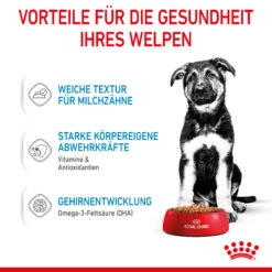 Royal Canin Maxi Puppy Welpenfutter Nass Für Große Hunde -DECHRA Verkäufe 9003579008447 4721 4