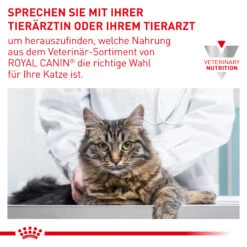 Royal Canin Urinary S/O Moderate Calorie Nassfutter Katze 13 Royal Canin Urinary S/O Moderate Calorie Nassfutter Katze -DECHRA Verkäufe 9003579010228 5220 8