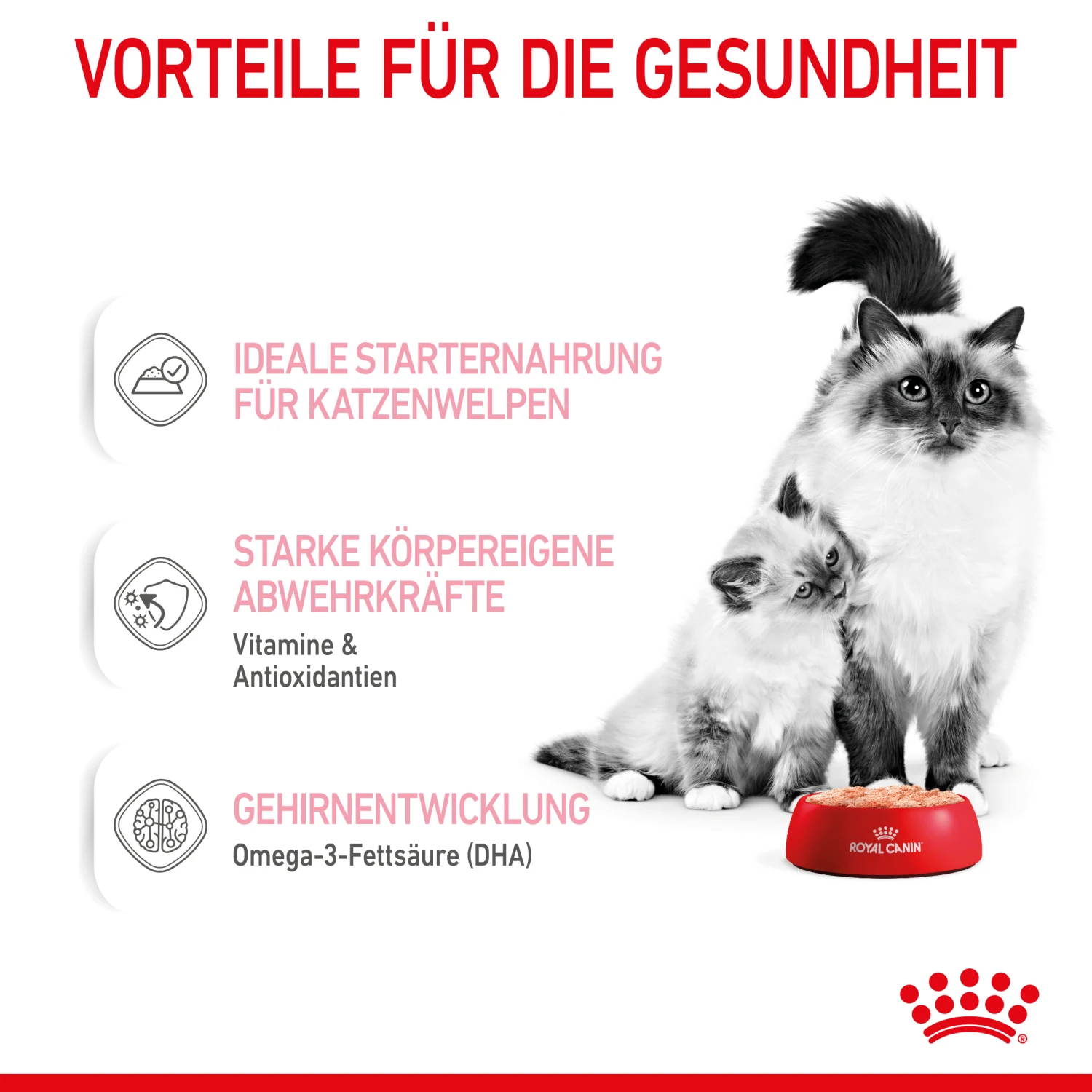 Royal Canin Mother & Babycat Mousse Nassfutter Katze 3 Royal Canin Mother & Babycat Mousse Nassfutter Katze – Bild 3
