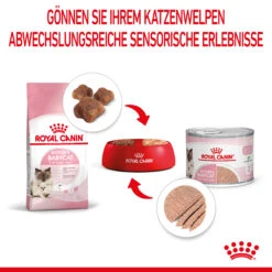 Royal Canin Mother & Babycat Mousse Nassfutter Katze 10 Royal Canin Mother & Babycat Mousse Nassfutter Katze -DECHRA Verkäufe 9003579019993 4551 5