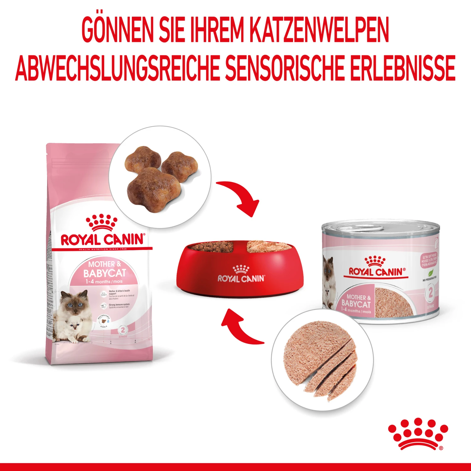 Royal Canin Mother & Babycat Mousse Nassfutter Katze 4 Royal Canin Mother & Babycat Mousse Nassfutter Katze – Bild 4