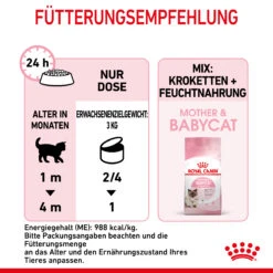 Royal Canin Mother & Babycat Mousse Nassfutter Katze 12 Royal Canin Mother & Babycat Mousse Nassfutter Katze -DECHRA Verkäufe 9003579019993 4551 7