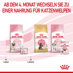 Royal Canin Mother & Babycat Mousse Nassfutter Katze 13 Royal Canin Mother & Babycat Mousse Nassfutter Katze -DECHRA Verkäufe 9003579019993 4551 8