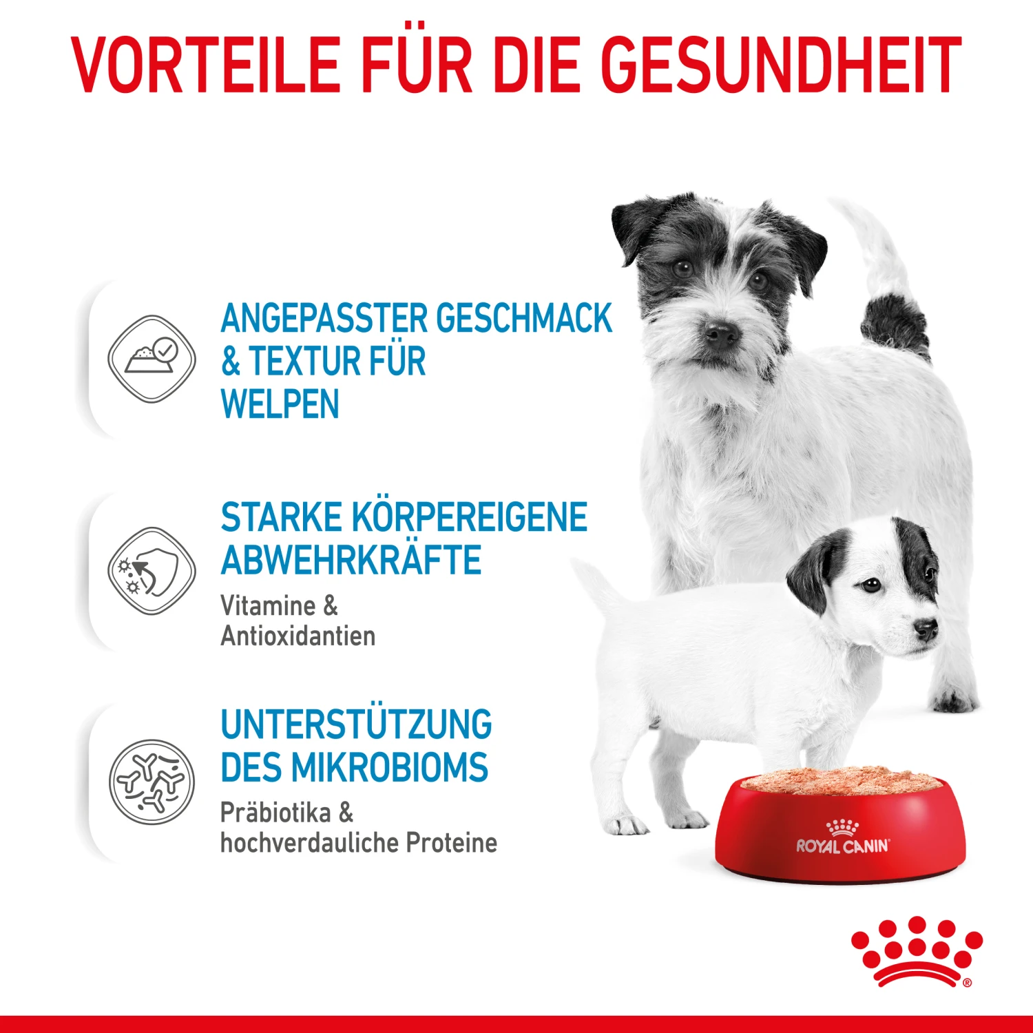 Royal Canin Starter Ultra Soft Mousse Mother & Babydog Nassfutter 12 X 195 G 3 Royal Canin Starter Ultra Soft Mousse Mother & Babydog Nassfutter 12 X 195 G – Bild 3