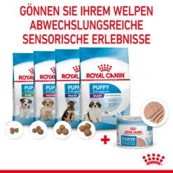 Royal Canin Starter Ultra Soft Mousse Mother & Babydog Nassfutter 12 X 195 G 10 Royal Canin Starter Ultra Soft Mousse Mother & Babydog Nassfutter 12 X 195 G -DECHRA Verkäufe 9003579020036 4300 51