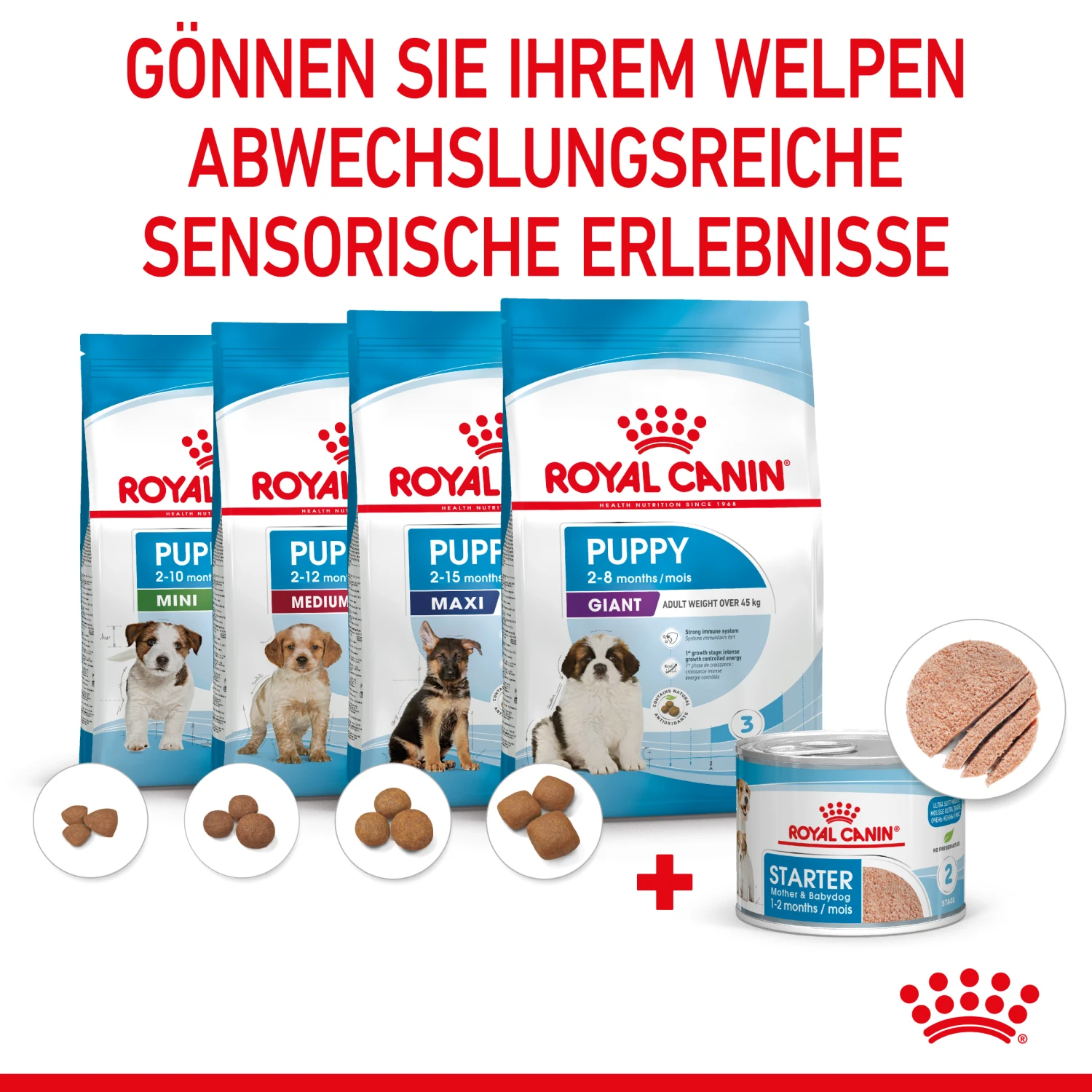 Royal Canin Starter Ultra Soft Mousse Mother & Babydog Nassfutter 12 X 195 G 4 Royal Canin Starter Ultra Soft Mousse Mother & Babydog Nassfutter 12 X 195 G – Bild 4