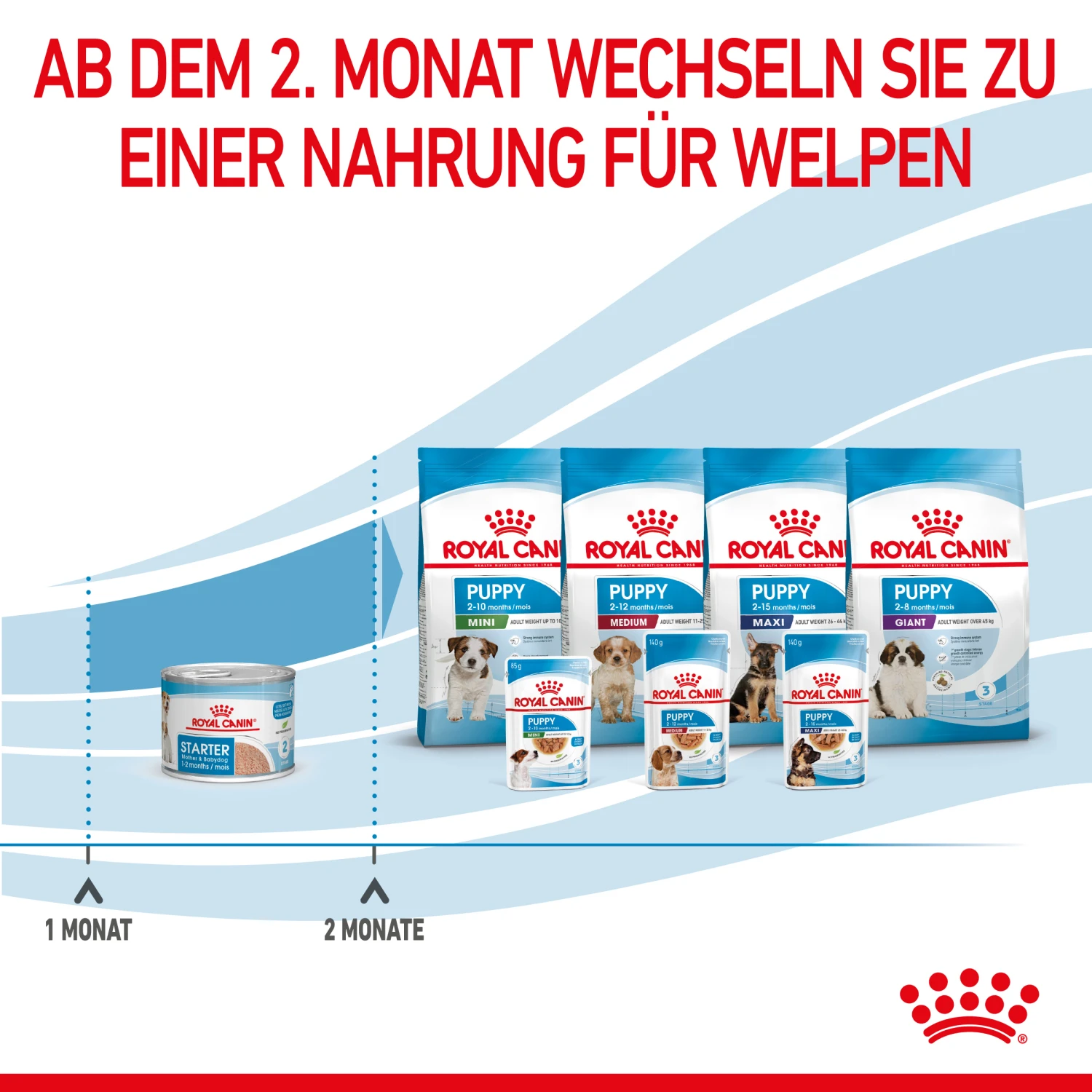 Royal Canin Starter Ultra Soft Mousse Mother & Babydog Nassfutter 12 X 195 G 7 Royal Canin Starter Ultra Soft Mousse Mother & Babydog Nassfutter 12 X 195 G – Bild 7