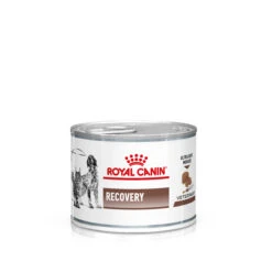Royal Canin Recovery Nassfutter