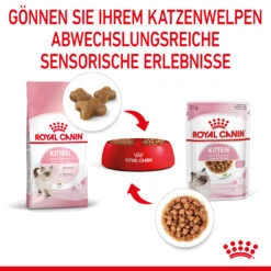 Royal Canin Kitten Nassfutter In Soße Für Kätzchen 12 X 85 G 10 Royal Canin Kitten Nassfutter In Soße Für Kätzchen 12 X 85 G -DECHRA Verkäufe 9003579308745 4501 6
