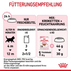 Royal Canin Kitten Nassfutter In Soße Für Kätzchen 12 X 85 G 12 Royal Canin Kitten Nassfutter In Soße Für Kätzchen 12 X 85 G -DECHRA Verkäufe 9003579308745 4501 8